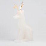 Pyropet - Dyri - Wit