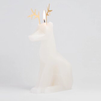Pyropet - Dyri - Wit