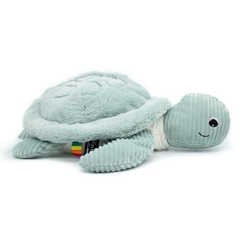 Les Déglingos - Reuze schildpad - Mint Groen