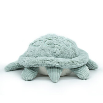 Les Déglingos - Reuze schildpad - Mint Groen
